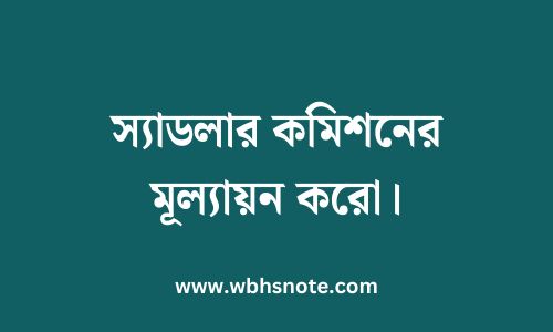 স্যাডলার কমিশনের মূল্যায়ন করো